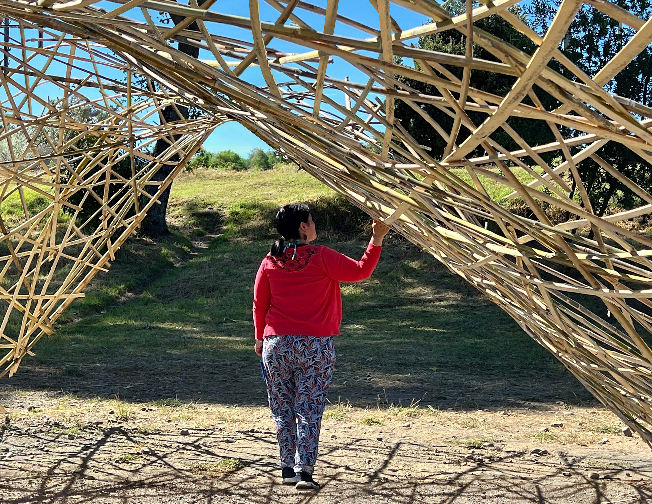 COLIHUE NEST – BASE studio