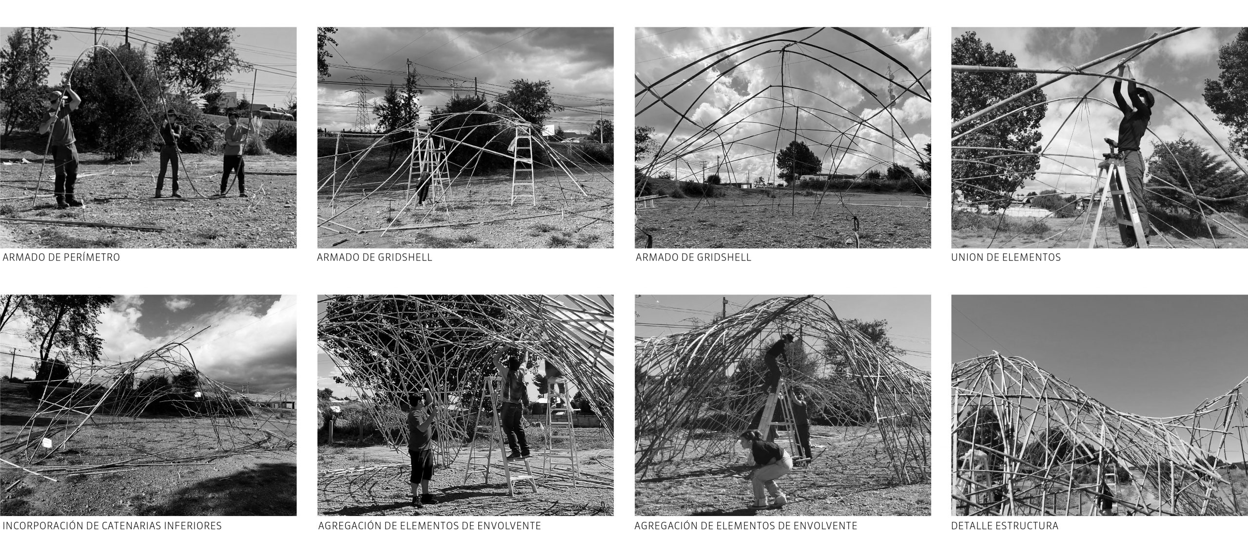 COLIHUE NEST – BASE studio
